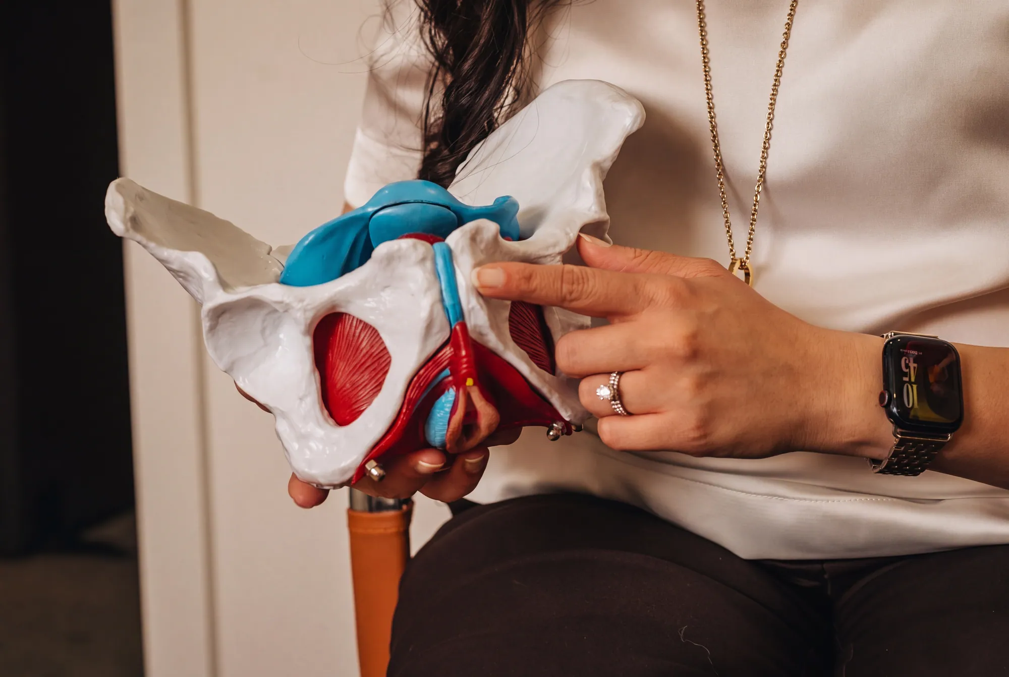 Practitioner pointing to an anatomy model