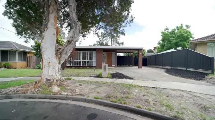 Property film, Frankston